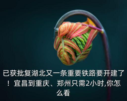 已獲批復湖北又一條重要鐵路要開建了！宜昌到重慶、鄭州只需2小時,你怎么看