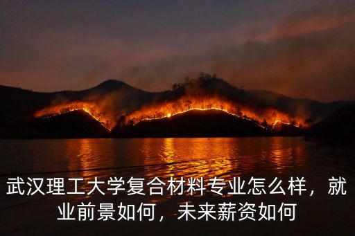 武漢理工大學復合材料專業怎么樣，就業前景如何，未來薪資如何