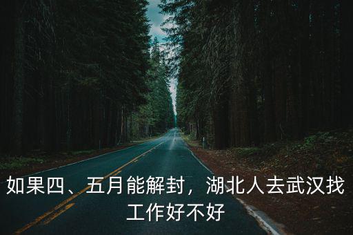 如果四、五月能解封，湖北人去武漢找工作好不好
