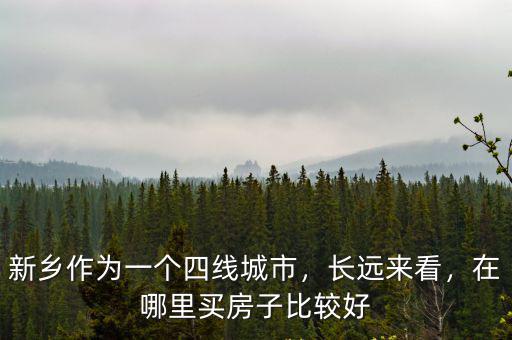 新鄉作為一個四線城市，長遠來看，在哪里買房子比較好