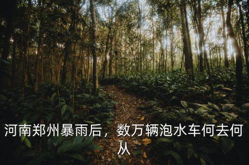 鄭州暴雨后期怎么解決,河南鄭州暴雨后