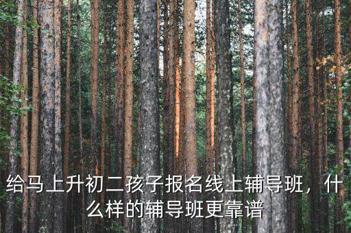 武漢數學輔導班怎么樣,?武漢數學一對一輔導班
