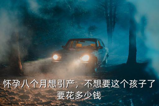 懷孕八個(gè)月想引產(chǎn)，不想要這個(gè)孩子了要花多少錢