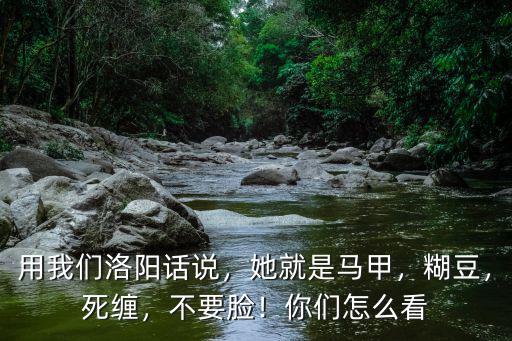 用我們洛陽話說，她就是馬甲，糊豆，死纏，不要臉！你們怎么看