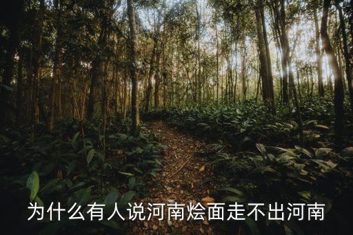 為什么有人說河南燴面走不出河南