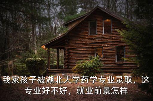我家孩子被湖北大學藥學專業錄取，這專業好不好，就業前景怎樣