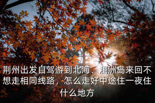 荊州到日本旅游坐游船怎么走,坐游輪去日本旅游