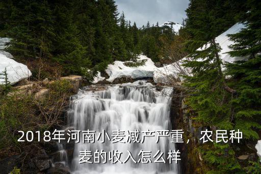 河南哪里有小麥倒伏,小麥倒伏了怎么辦