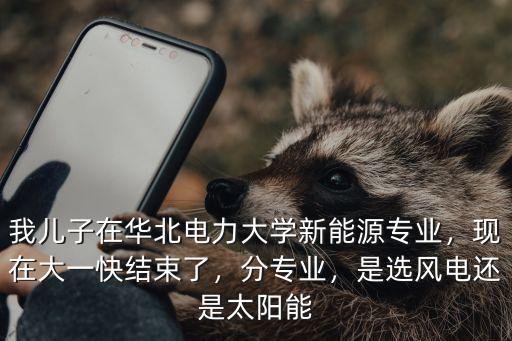 我兒子在華北電力大學新能源專業，現在大一快結束了，分專業，是選風電還是太陽能