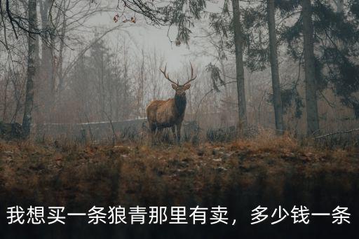 我想買一條狼青那里有賣，多少錢一條