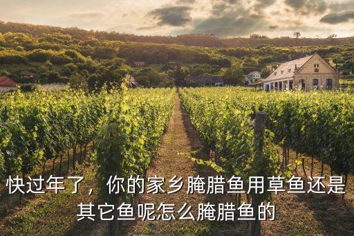 湖北的臘魚怎么樣了,臘肉臘魚太咸了怎么辦