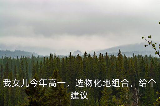 我女兒今年高一，選物化地組合，給個建議