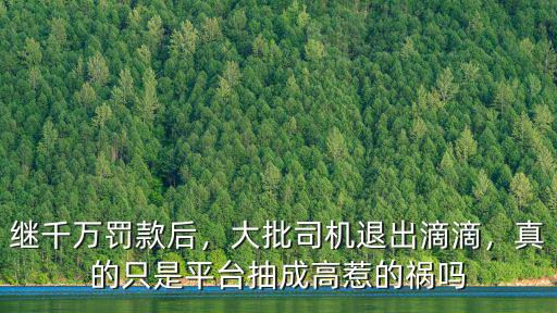 武漢滴滴平臺怎么抽成,滴滴抽成是多少