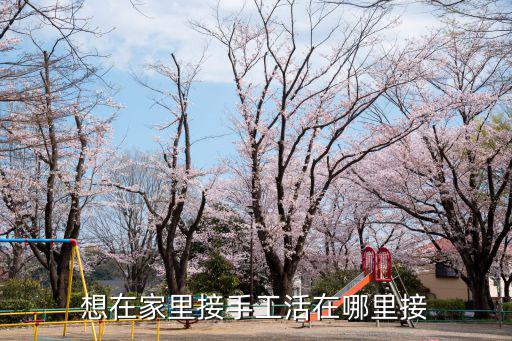 想在家里接手工活在哪里接