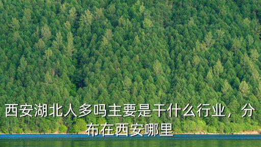 西安湖北人多嗎主要是干什么行業，分布在西安哪里