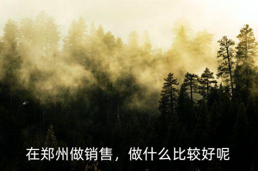 在鄭州做銷售，做什么比較好呢
