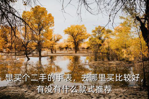 想買個(gè)二手的手表，去哪里買比較好，有沒有什么款式推薦