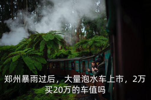鄭州暴雨過后，大量泡水車上市，2萬買20萬的車值嗎