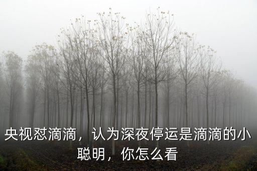央視懟滴滴，認為深夜停運是滴滴的小聰明，你怎么看