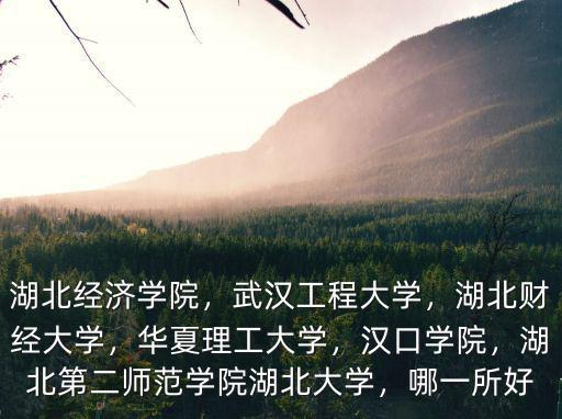 湖北經(jīng)濟學院，武漢工程大學，湖北財經(jīng)大學，華夏理工大學，漢口學院，湖北第二師范學院湖北大學，哪一所好