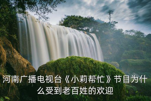 河南電視臺有多少部門,河南電視臺《小莉幫忙》