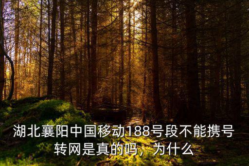 湖北襄陽移動4g怎么樣,湖北襄陽的發展怎么樣