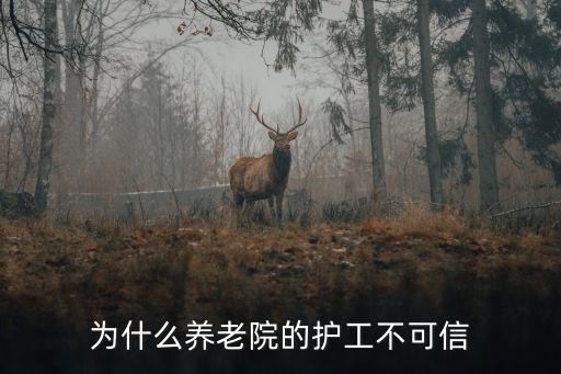 恩施養(yǎng)老院招護工怎么招,養(yǎng)老院護工難招
