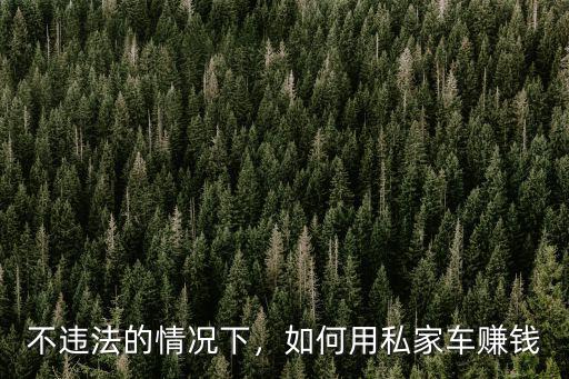 武漢私家車怎么樣賺錢,開(kāi)私家車賺錢怎么樣