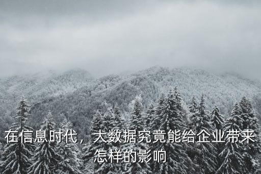 恩施企業大數據怎么樣,企業如何使用大數據營銷