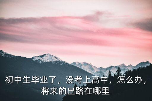 初中畢業沒有考上高中怎么辦河南,初三如果考不上高中怎么辦