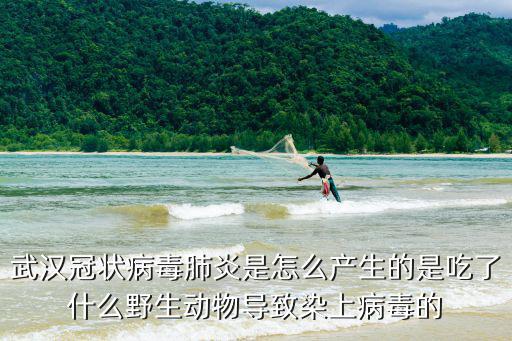 武漢肺炎第一人是怎么發現的,鐘南山是怎么發現人傳人的