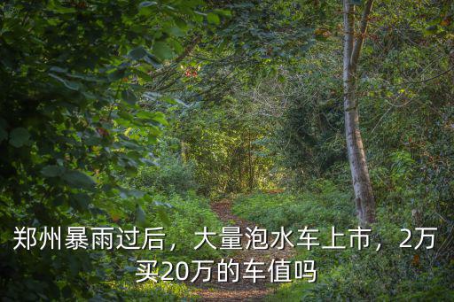 鄭州最新的情況泡水車怎么處理,被泡過的車該怎么處理呢