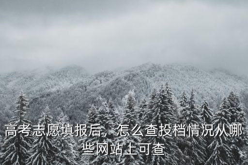 河南高考投檔狀態怎么查詢,怎么查投檔情況