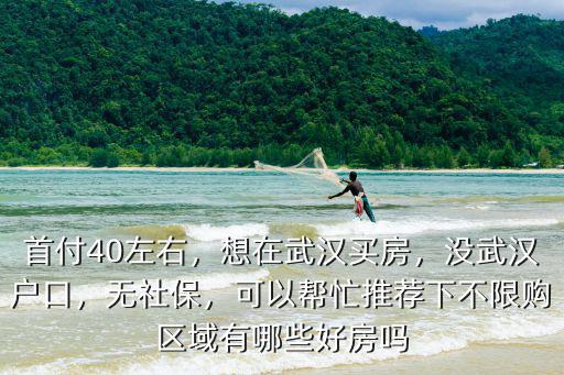 首付40左右，想在武漢買(mǎi)房，沒(méi)武漢戶(hù)口，無(wú)社保，可以幫忙推薦下不限購(gòu)區(qū)域有哪些好房嗎