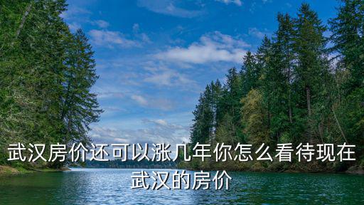 武漢房價還可以漲幾年你怎么看待現在武漢的房價