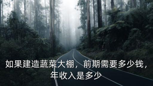 如果建造蔬菜大棚，前期需要多少錢，年收入是多少