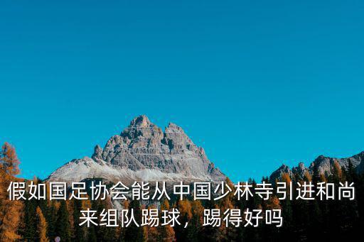假如國(guó)足協(xié)會(huì)能從中國(guó)少林寺引進(jìn)和尚來(lái)組隊(duì)踢球，踢得好嗎