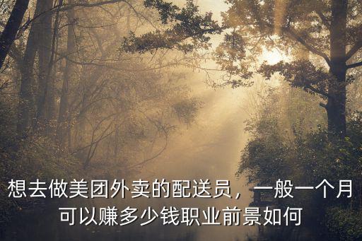 新鄉美團外賣一個月多少錢,一個月有多少錢