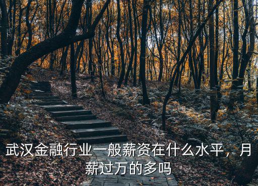 武漢金融行業(yè)一般薪資在什么水平，月薪過萬的多嗎