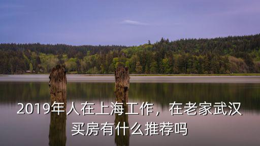 2019年人在上海工作，在老家武漢買房有什么推薦嗎