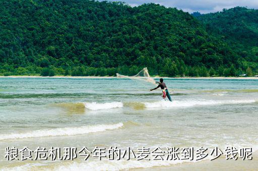 河南永城市小麥收購價格是多少錢,那今年的小麥會漲到多少錢呢