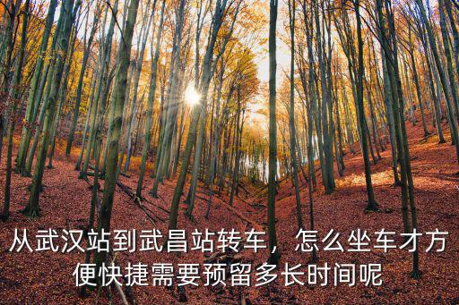 武昌站到武漢站怎么走哪個(gè)出口,從武漢站到武昌站轉(zhuǎn)車(chē)