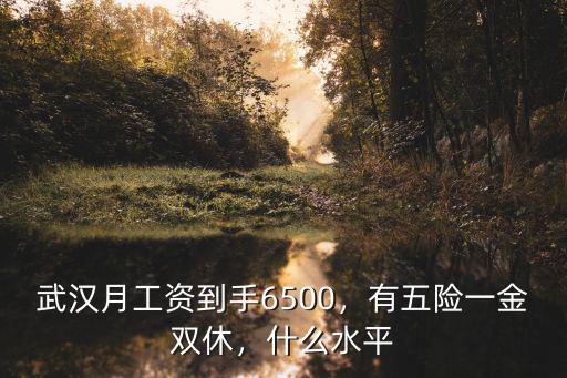 武漢月工資8500怎么樣,武漢月工資到手6500