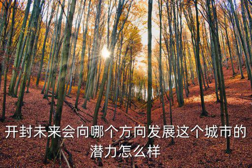 開封未來會向哪個方向發展這個城市的潛力怎么樣