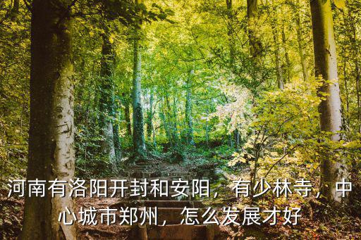 河南有洛陽開封和安陽，有少林寺，中心城市鄭州，怎么發(fā)展才好
