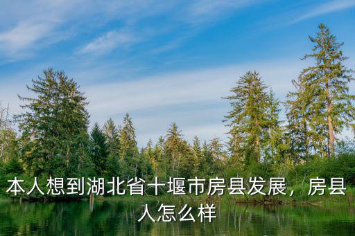房縣黃酒在武漢的銷量怎么樣,十堰房縣黃酒怎么樣