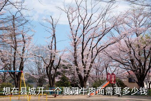 想在縣城開一個襄陽牛肉面需要多少錢