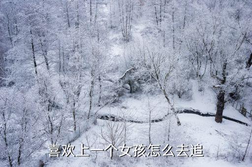 喜歡上一個(gè)女孩怎么去追