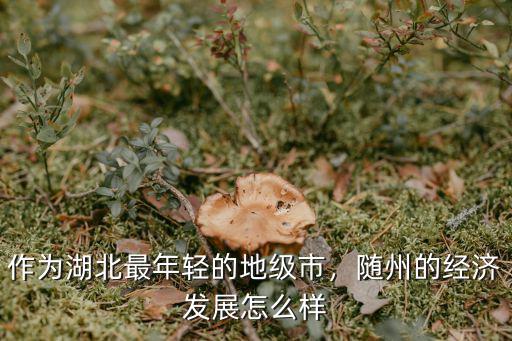 湖北經(jīng)濟(jì)發(fā)展?jié)摿υ趺礃?湖北咸寧市經(jīng)濟(jì)發(fā)展?jié)摿θ绾?/></a></span><span id=