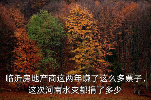 臨沂房地產商這兩年賺了這么多票子，這次河南水災都捐了多少